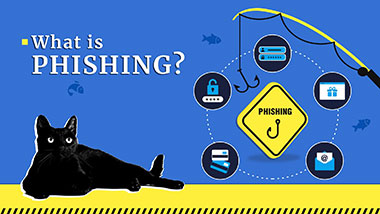 Qu'est-ce que le Phishing ? Techniques d'attaque et exemples en 2024 | Gridinsoft