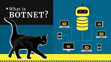 Qu'est-ce qu'un Botnet? Comment ça fonctionne? Définition et exemples | Gridinsoft