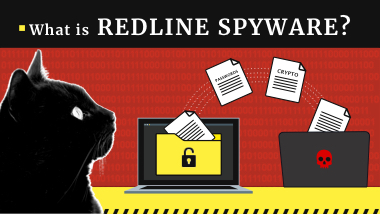 Malware RedLine Stealer | Rapport de Recherche 2023