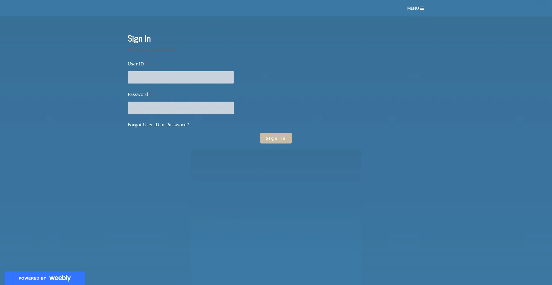 Website screenshot of 0nllnesecu.weebly.com
