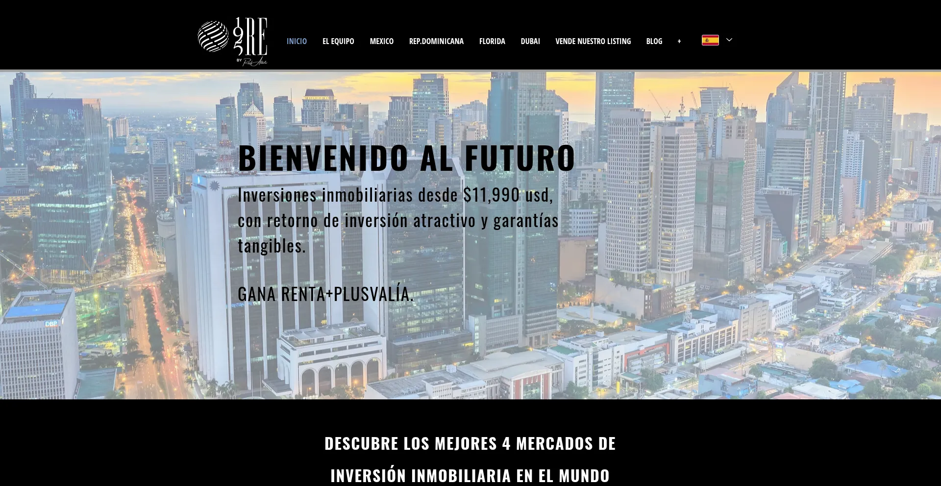 Website screenshot of 195re.com