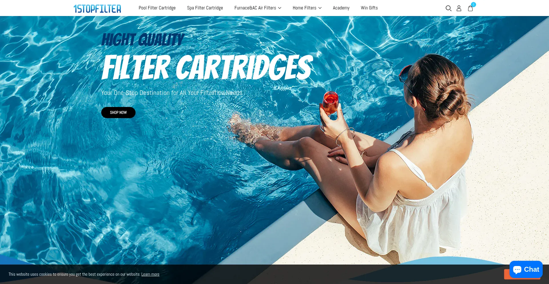 Website screenshot of 1stopfilter.com