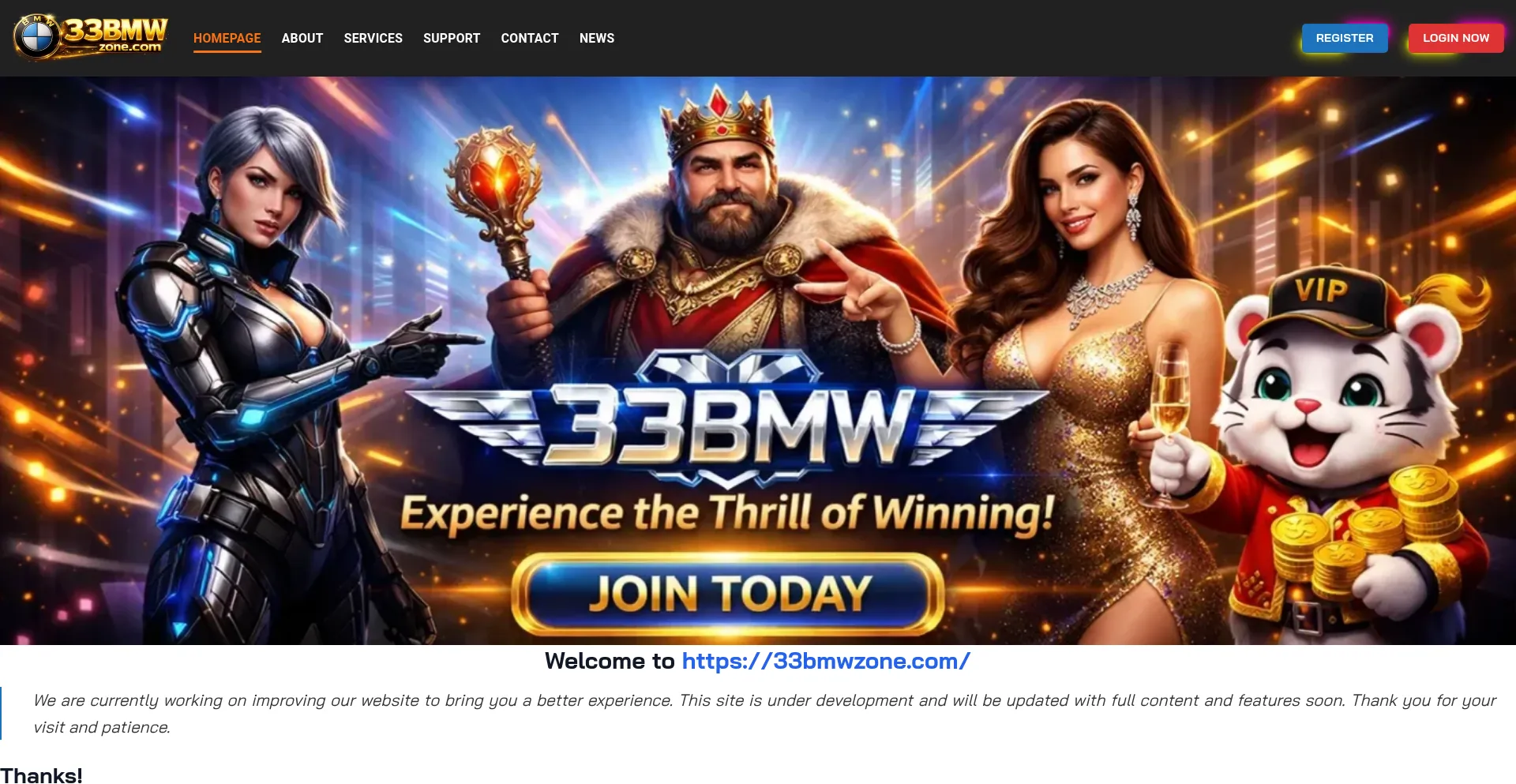 33bmwzone.com