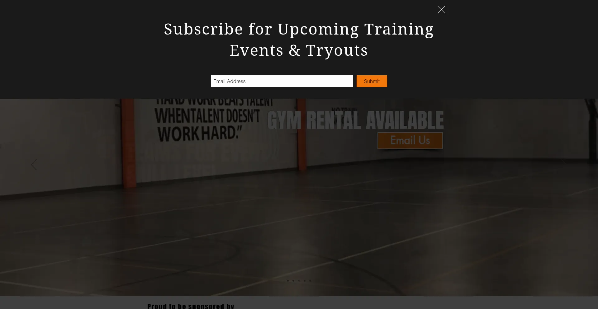 Website screenshot of 3dvisionbasketball.com