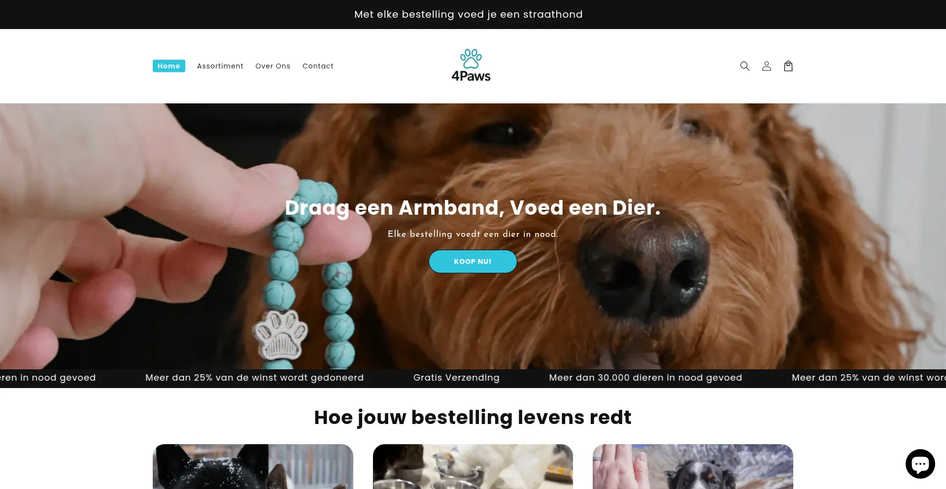 4pawswinkel.nl est-il Sûr et Fiable ?