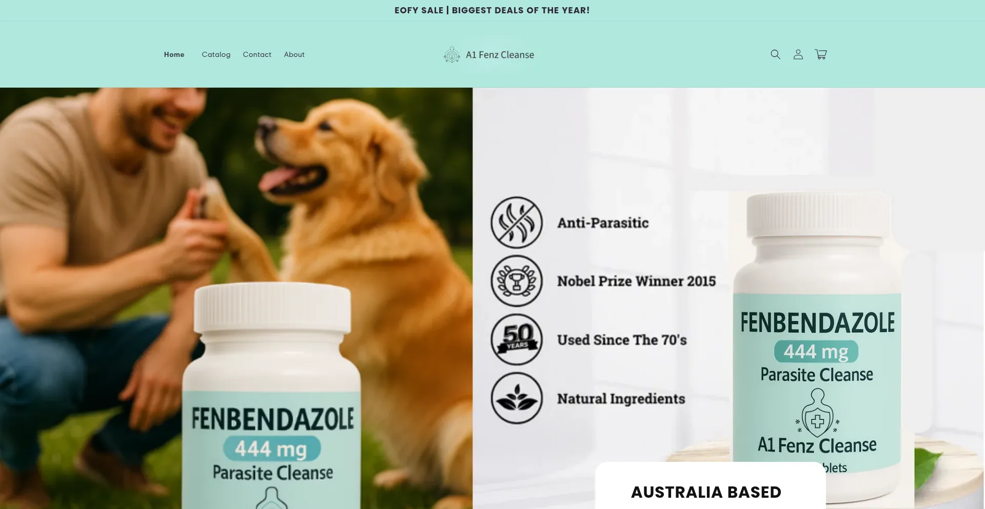 Website screenshot of A1fenzcleanse.com