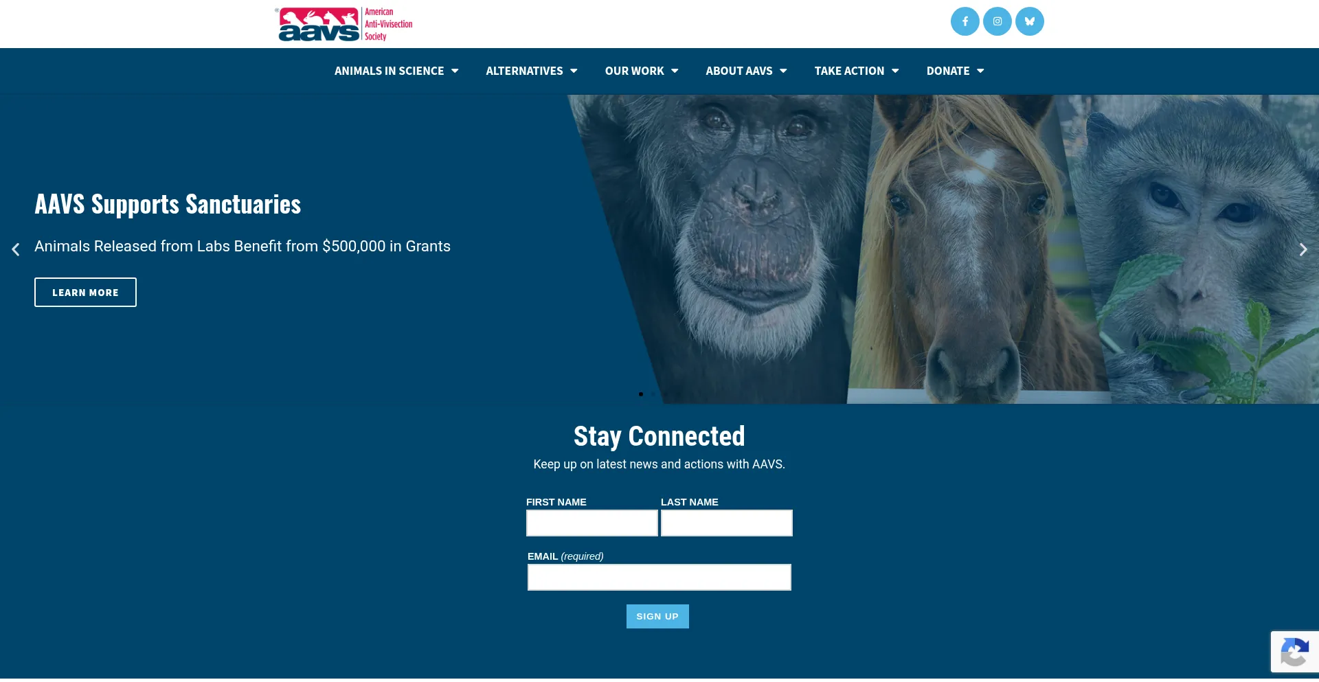 Aavs.org