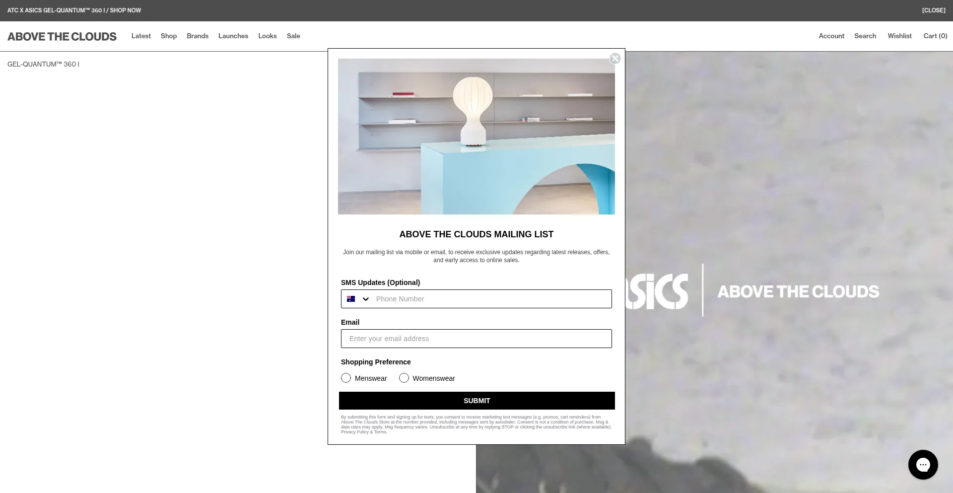 Website screenshot of Abovethecloudsstore.com