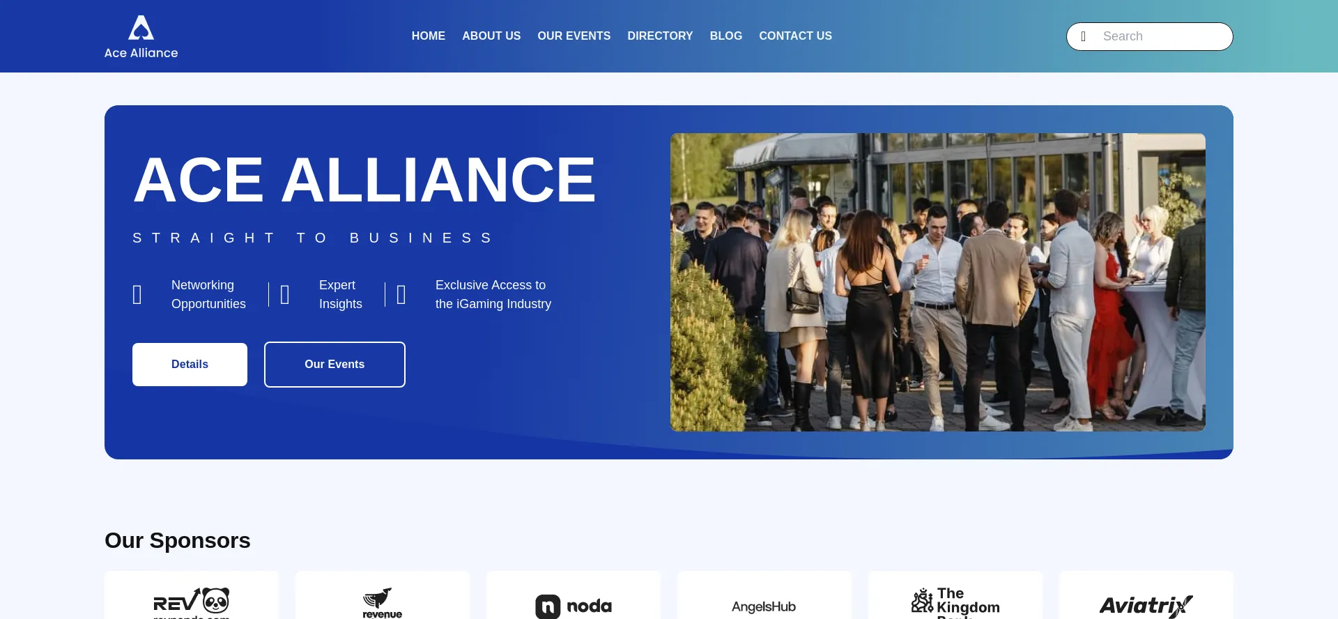 Website screenshot of Acealliance.com