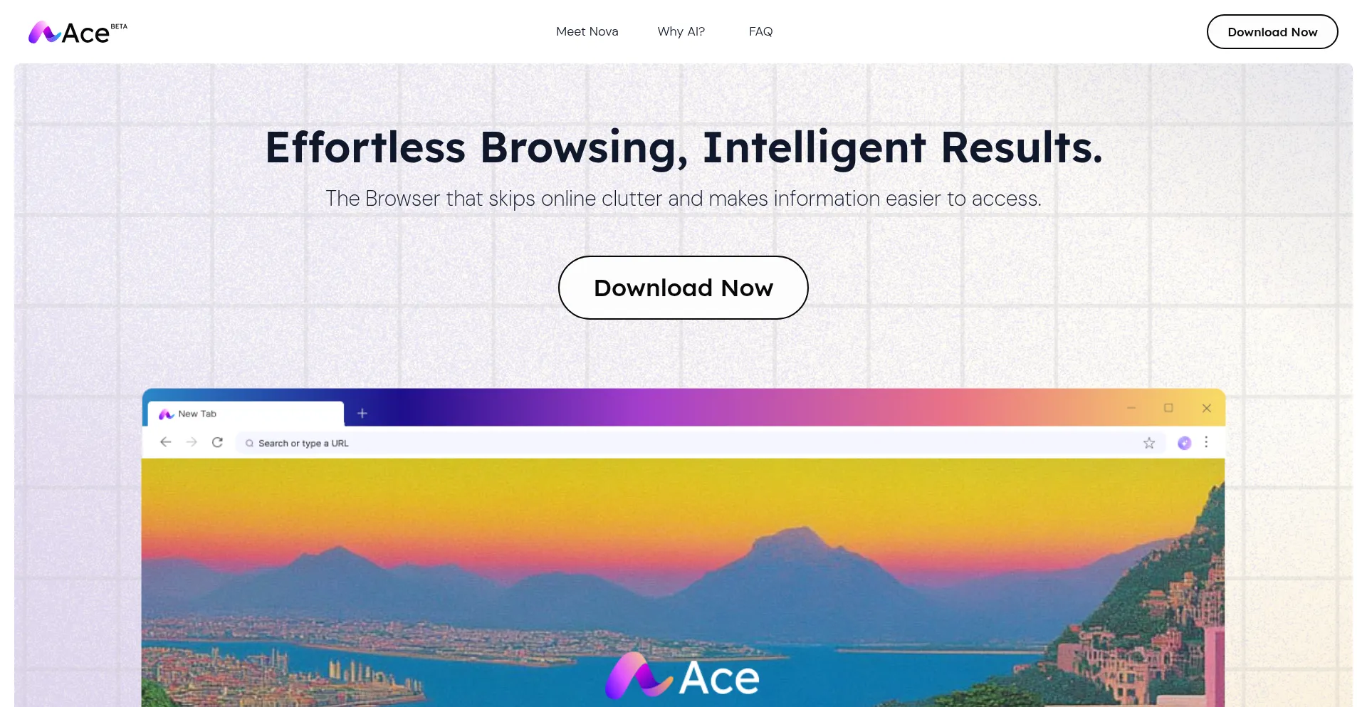 Acebrowser.ai est-il Sûr et Fiable ?