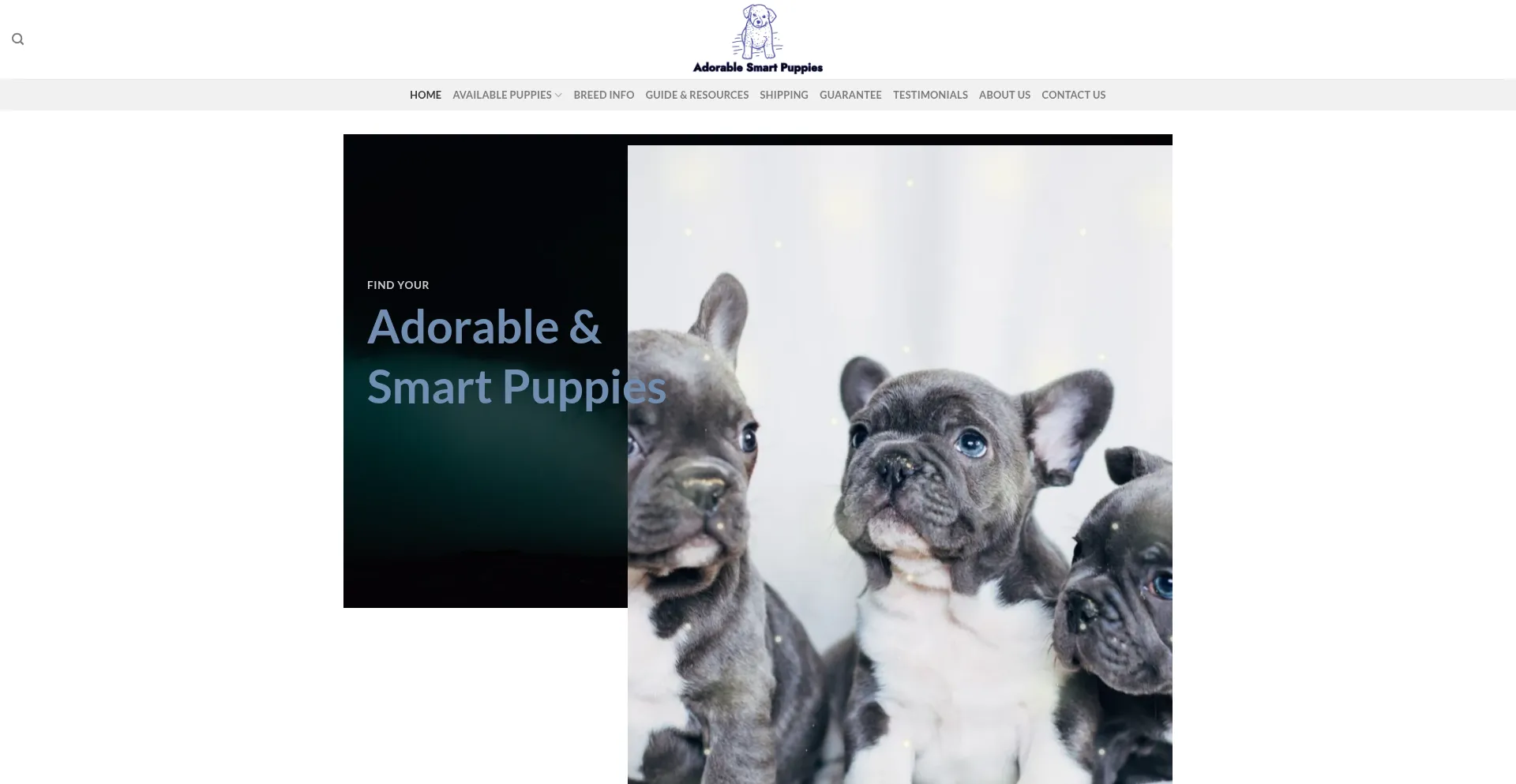 Adorablesmartpuppiesforhome.com