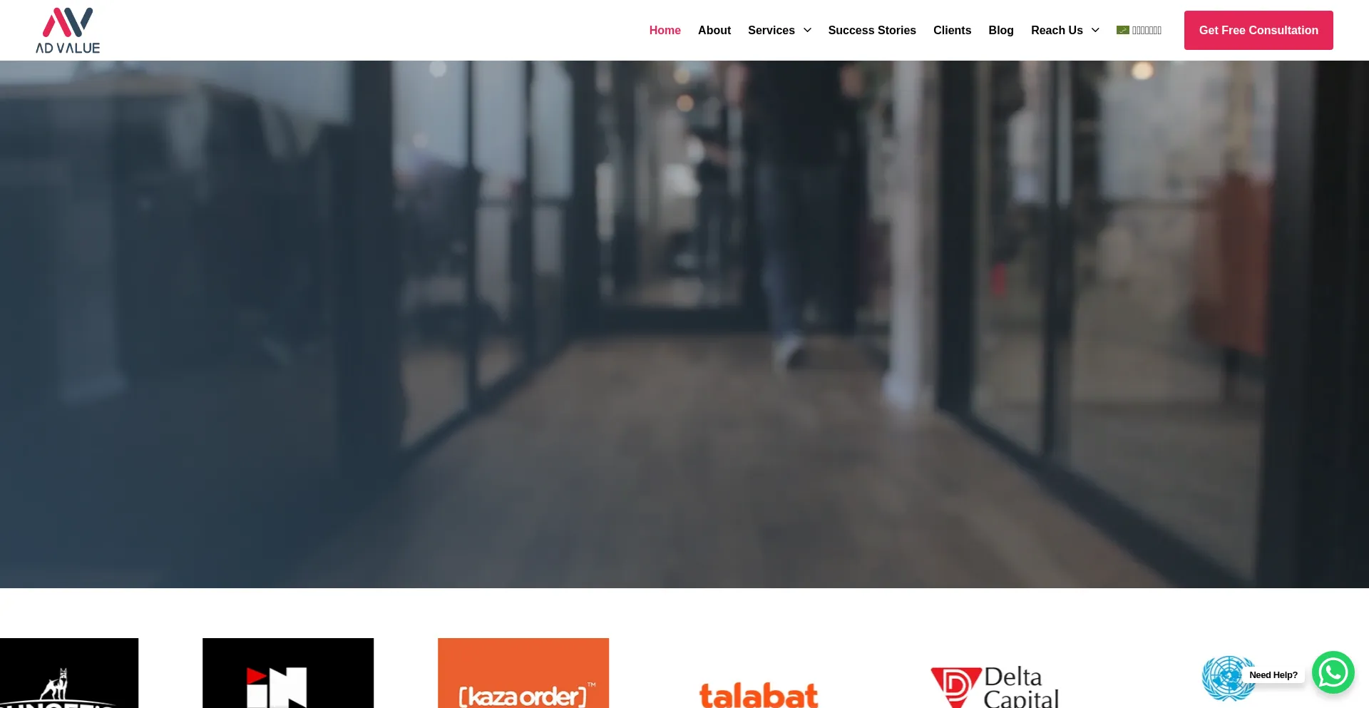 Website screenshot of Advaluesolutions.com