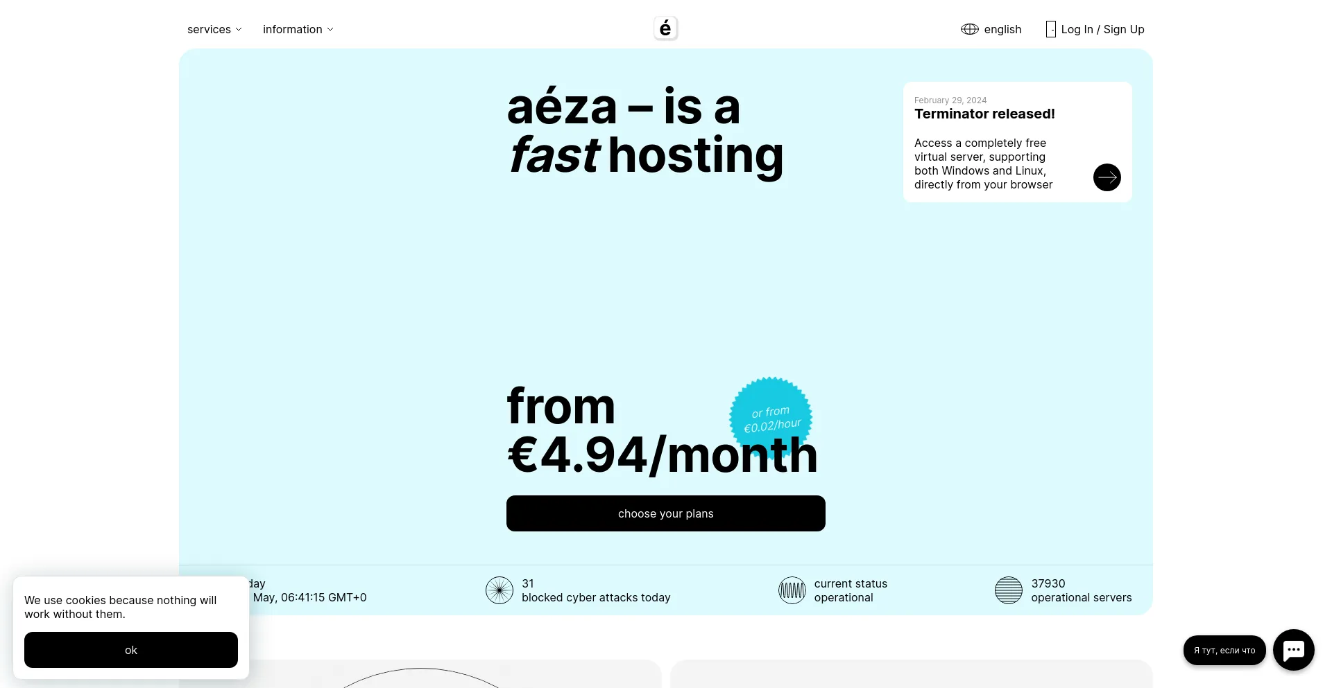 Website screenshot of Aeza.net