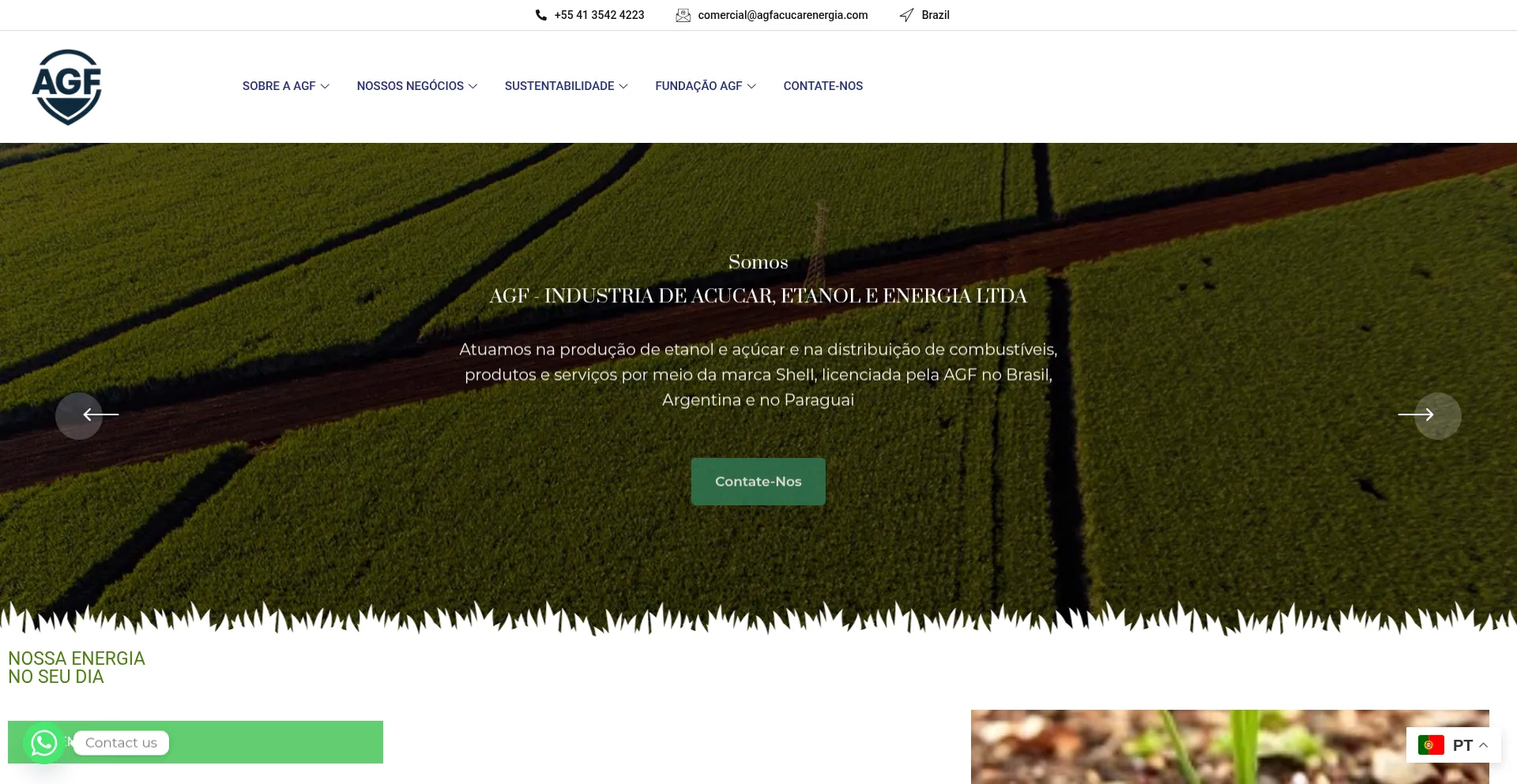 Website screenshot of Agfacucarenergia.com
