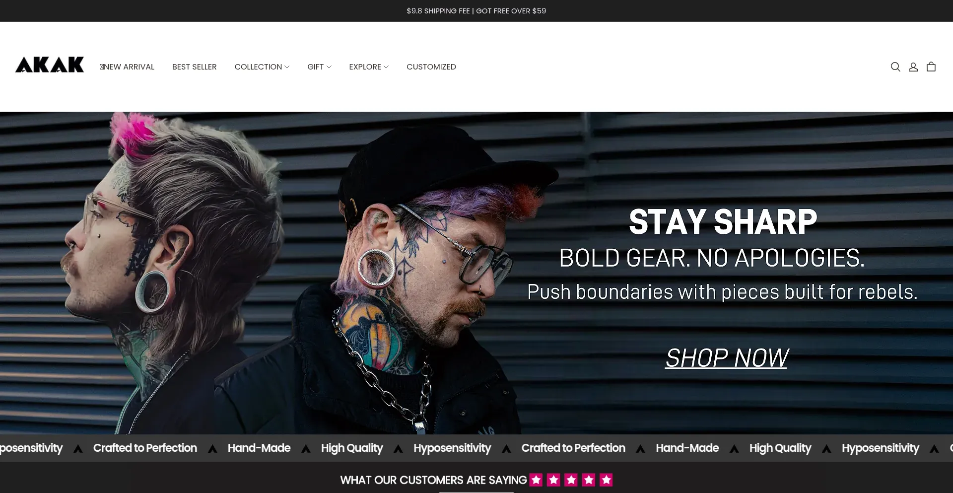 Website screenshot of Akakgo.com