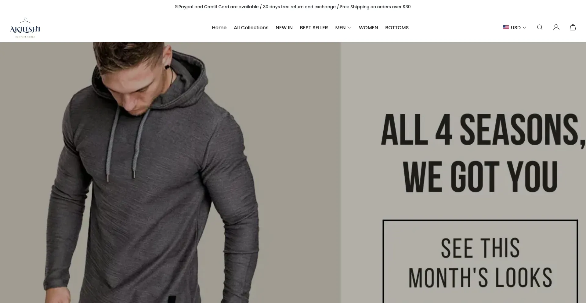 Website screenshot of Akilishi.com