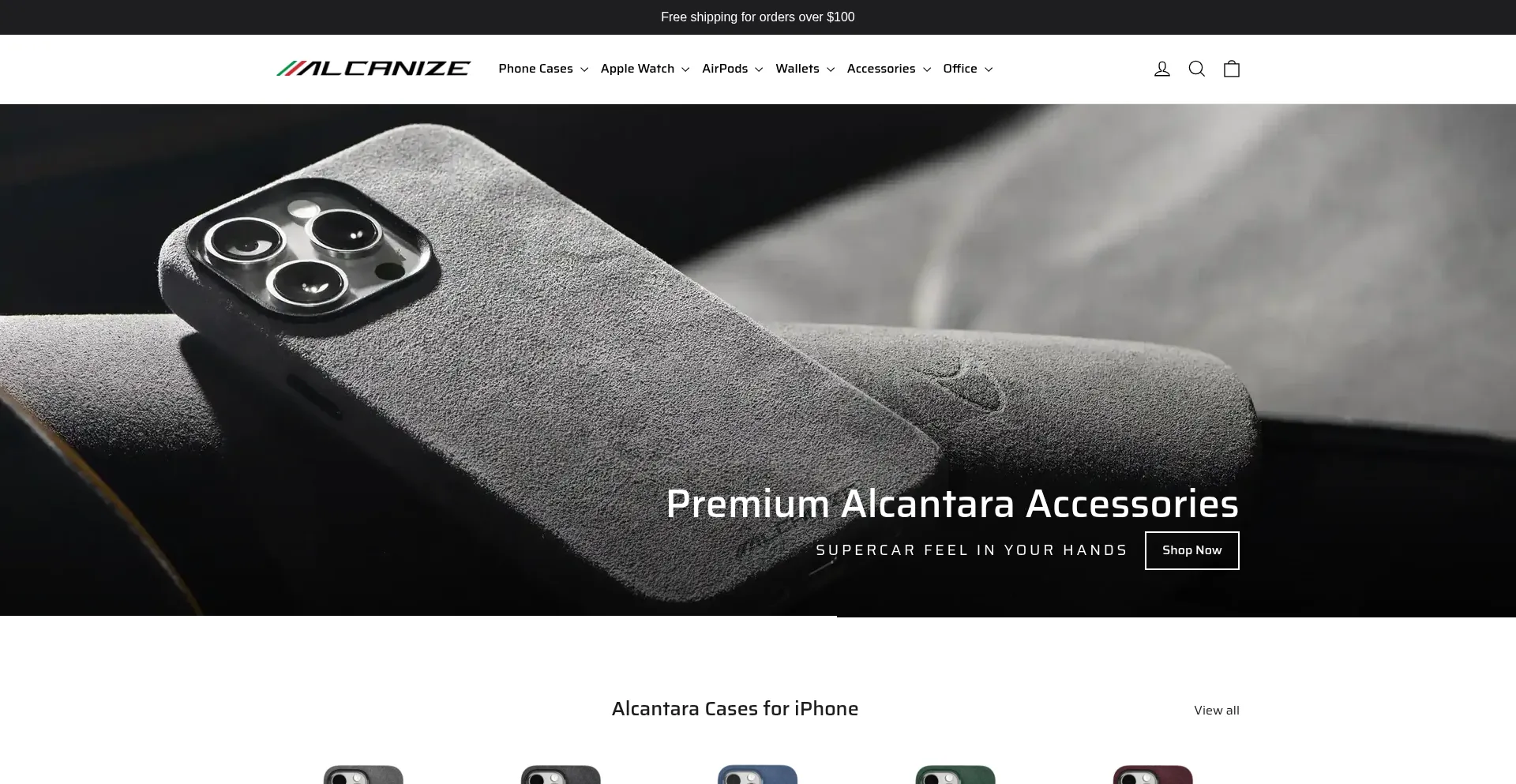 Website screenshot of Alcanize.com