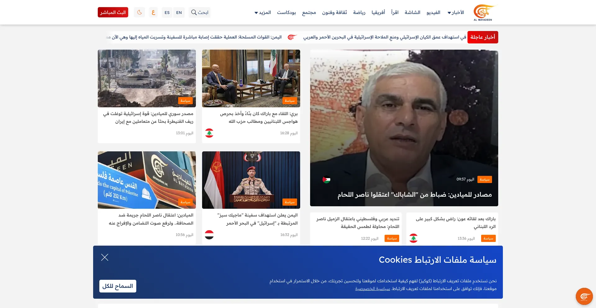 Website screenshot of Almayadeen.net