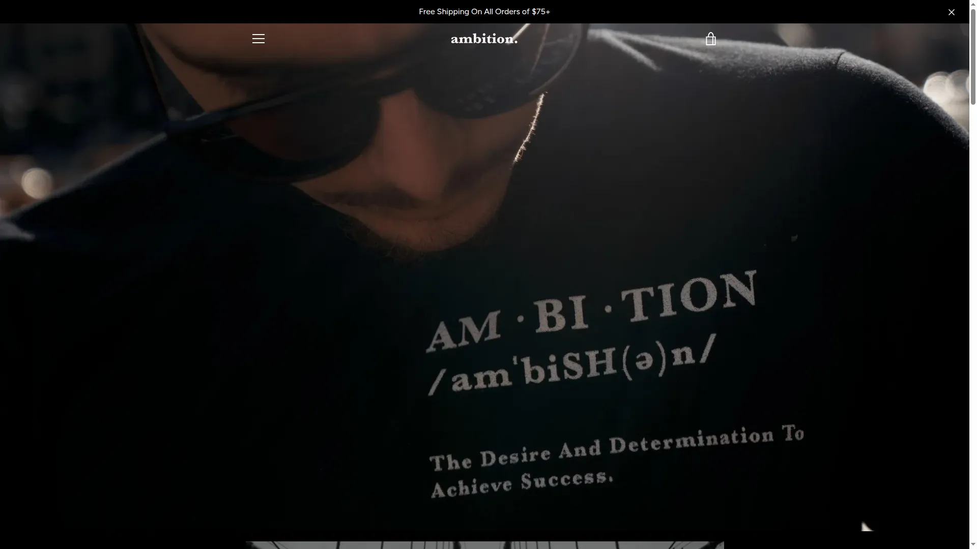 Ambitionnyc.com
