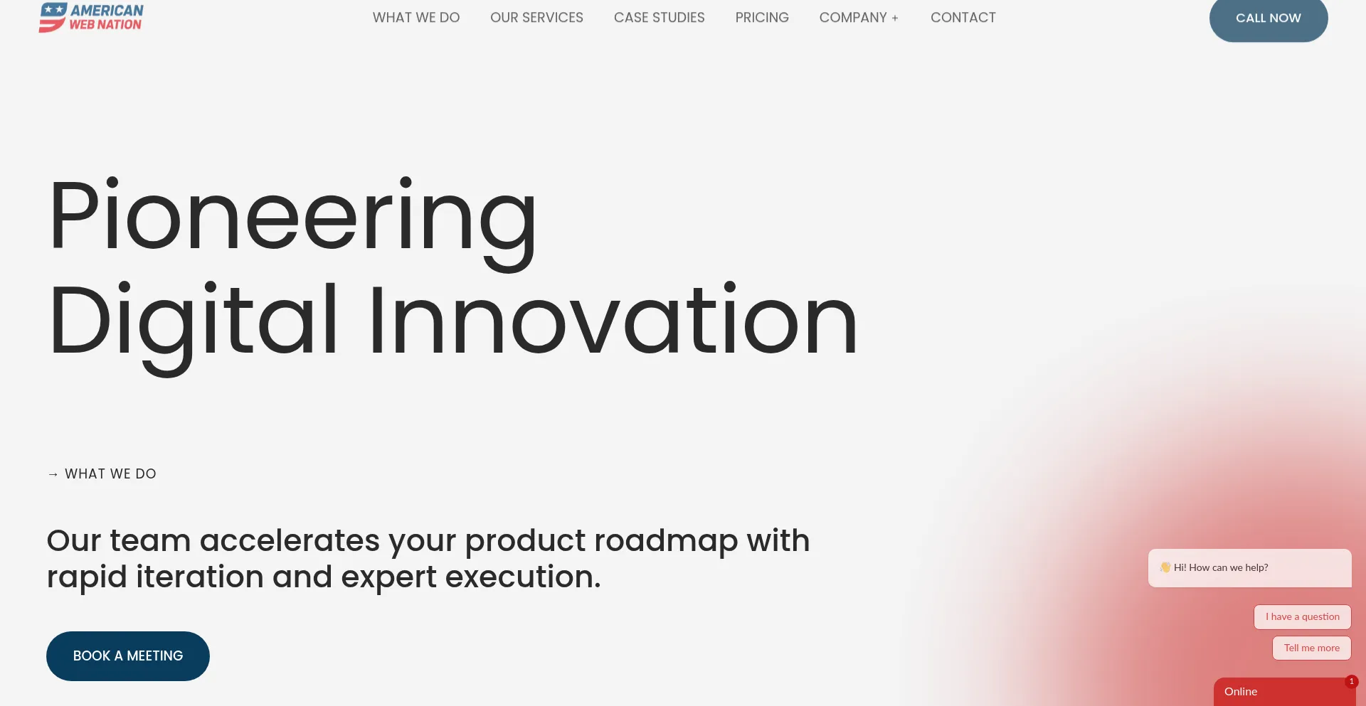 Website screenshot of Americanwebnation.com
