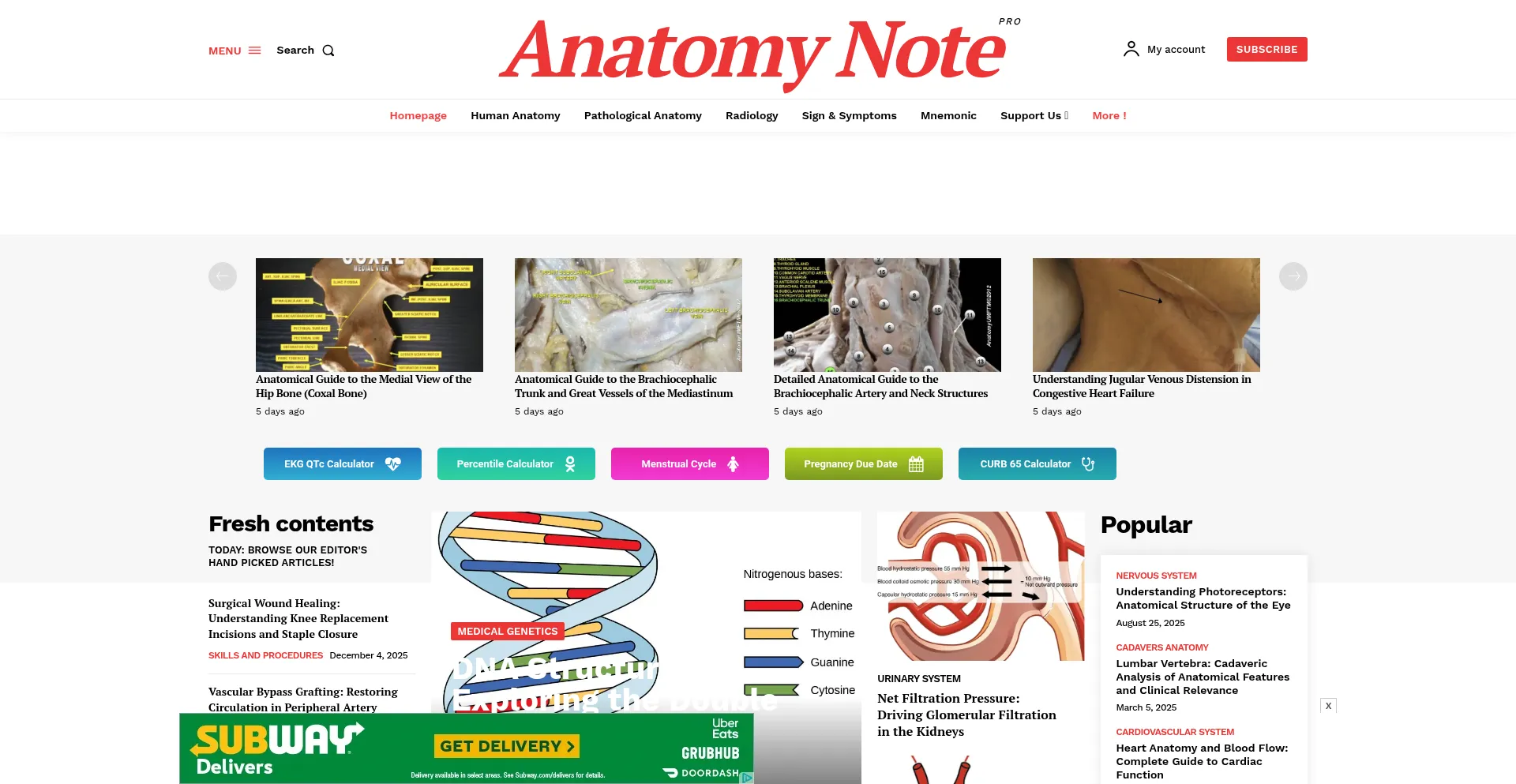 Anatomynote.com