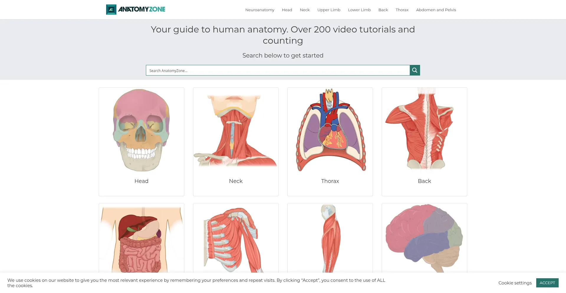 Anatomyzone.com