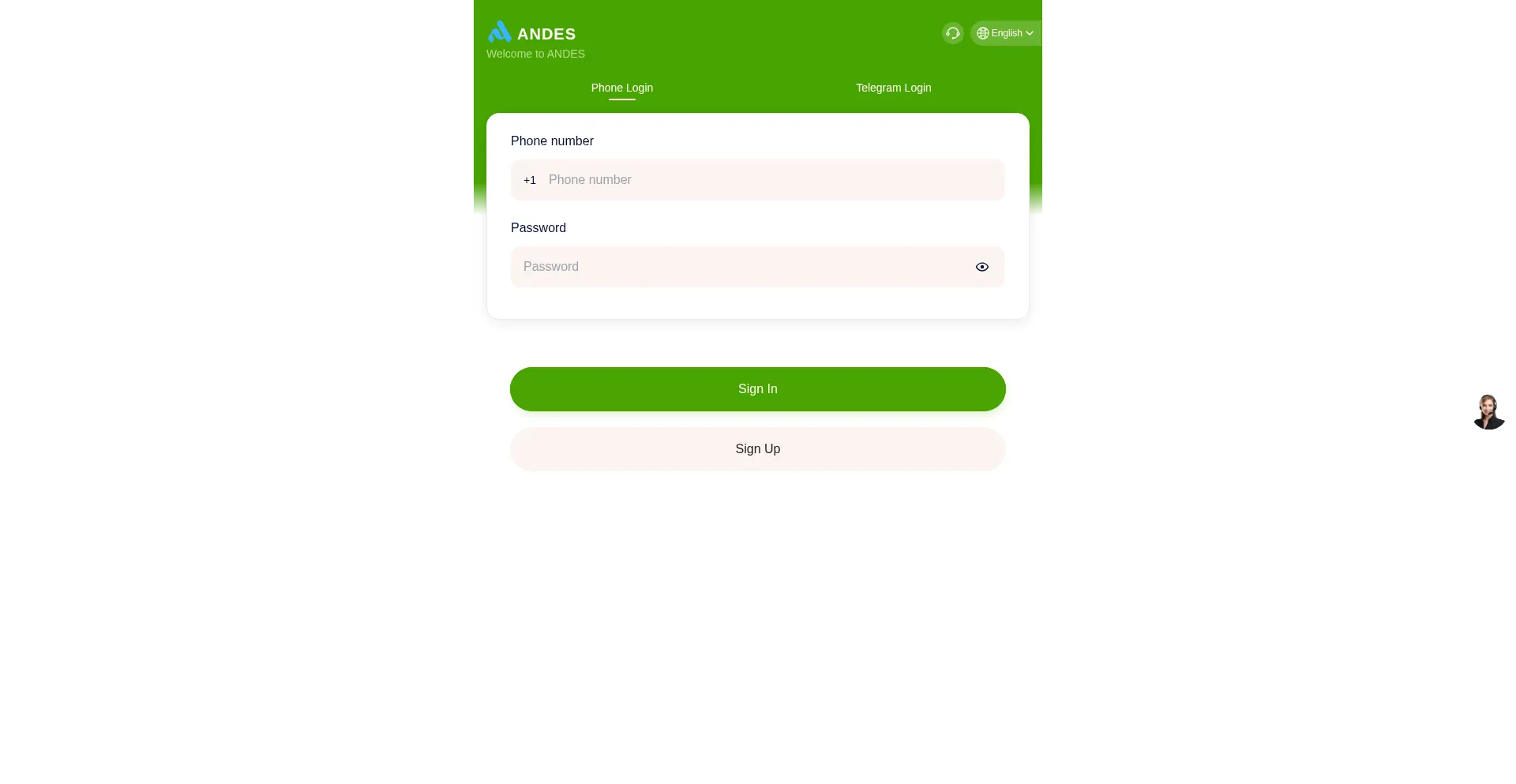 Website screenshot of Andes.xin