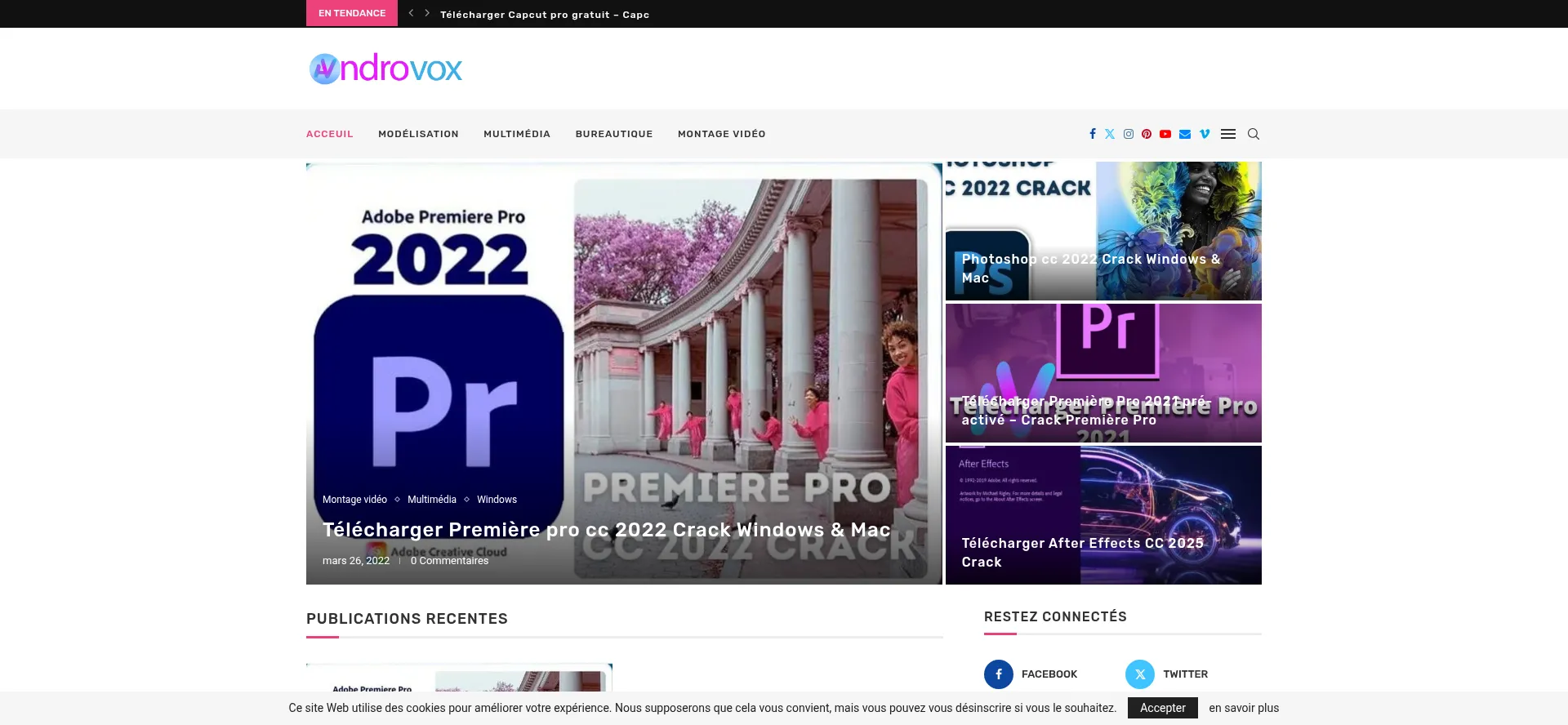 Website screenshot of Androvox.com