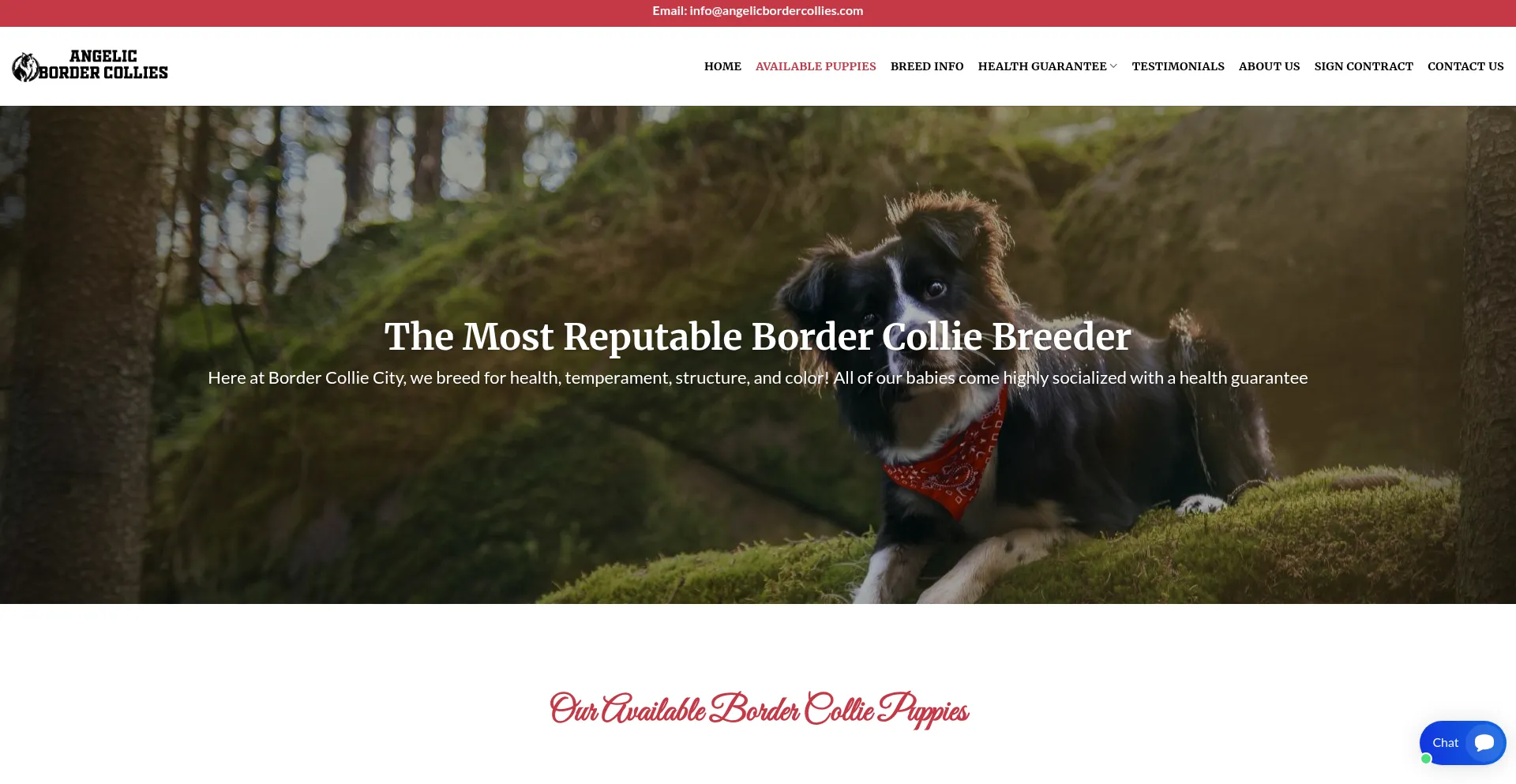 Website screenshot of Angelicbordercollies.com