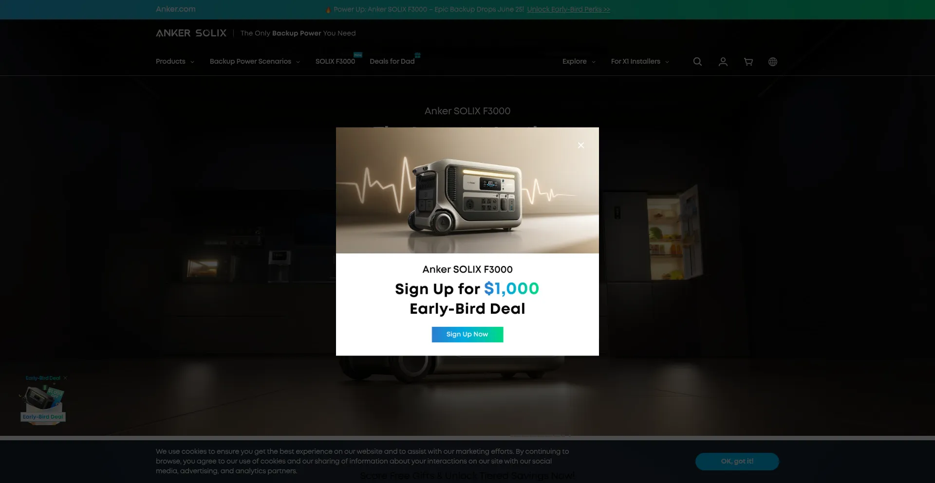 Website screenshot of Ankersolix.com