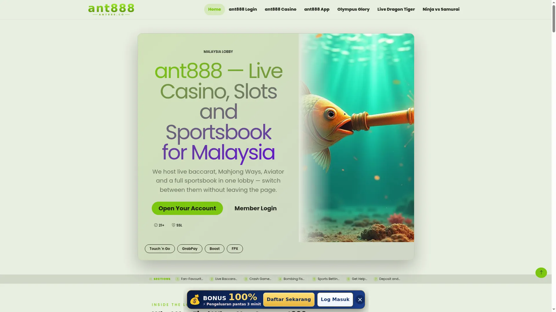 Ant888.co