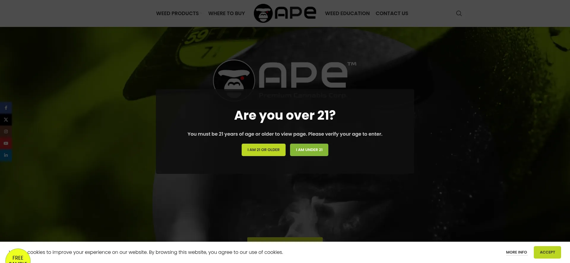 Apepremium.com