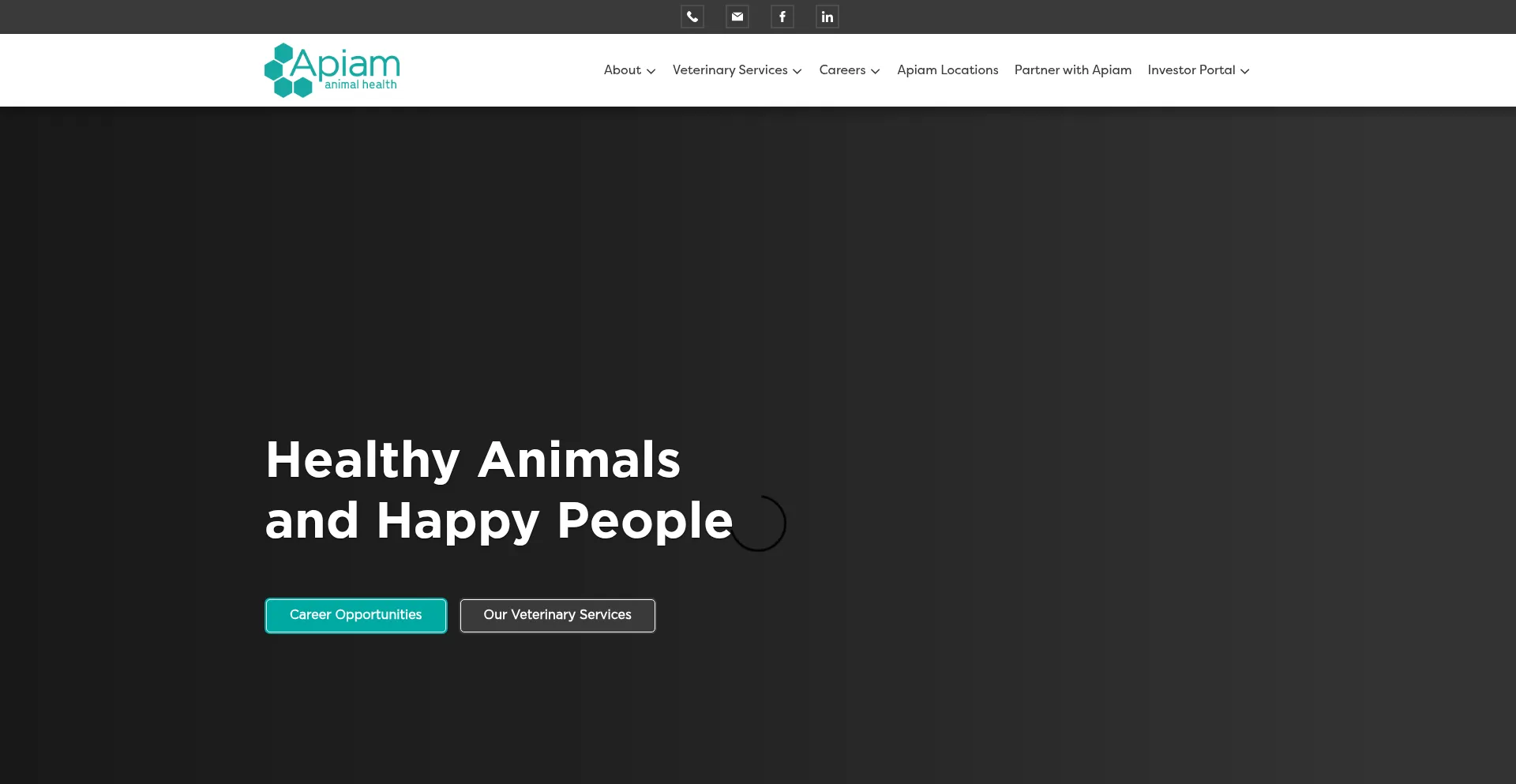 Website screenshot of Apiam.com.au