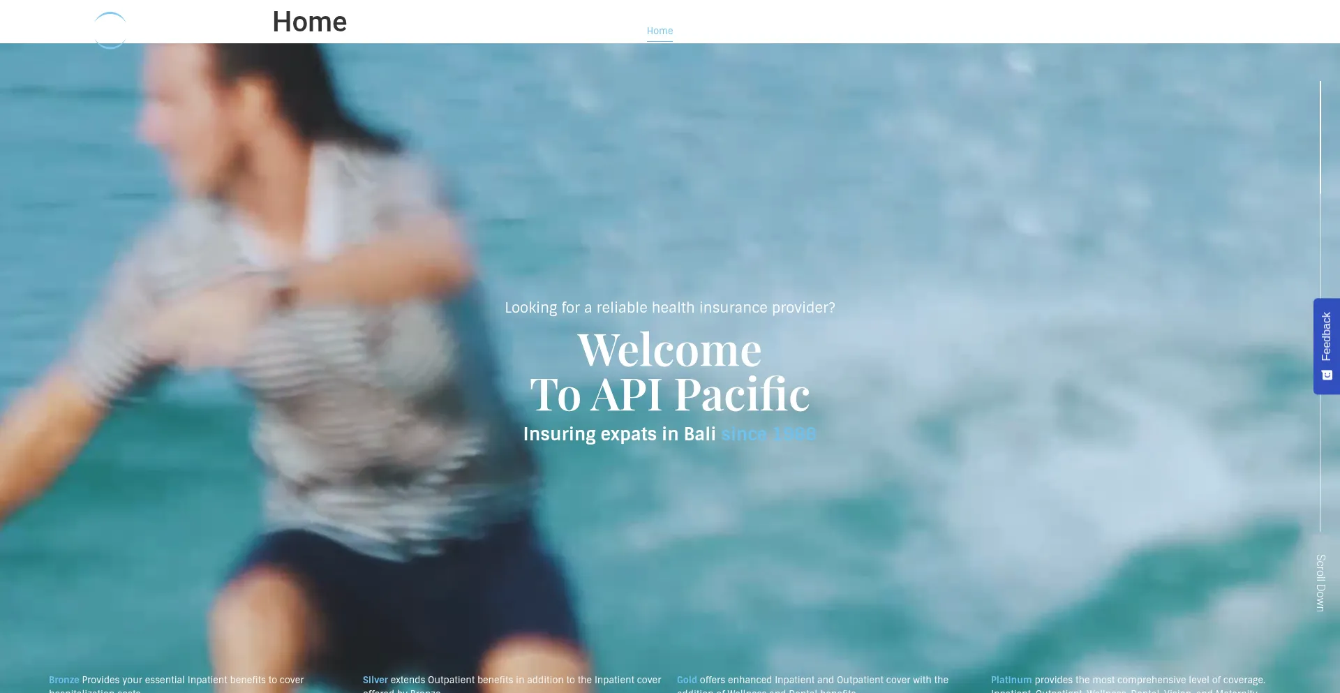 Apipacific.com