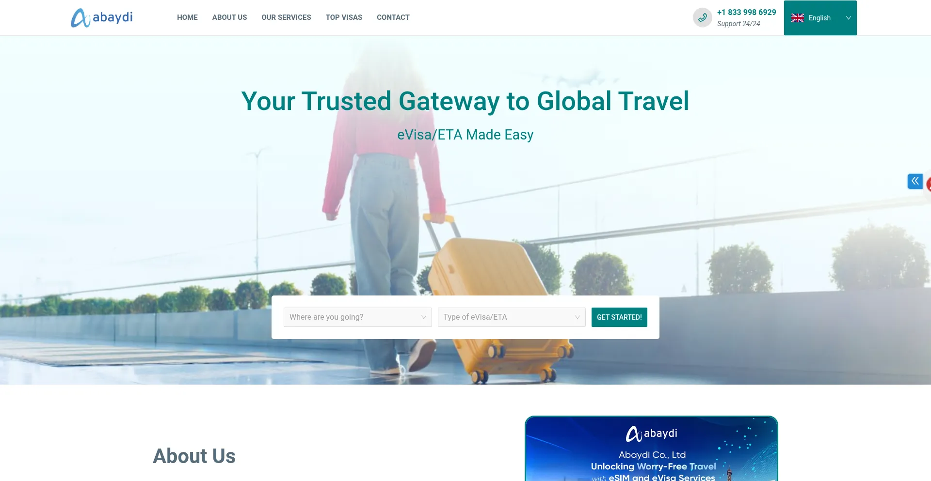 Website screenshot of Applyevisa.com
