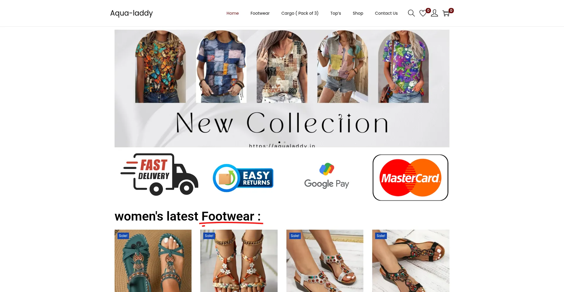 Website screenshot of Aqualaddy.in