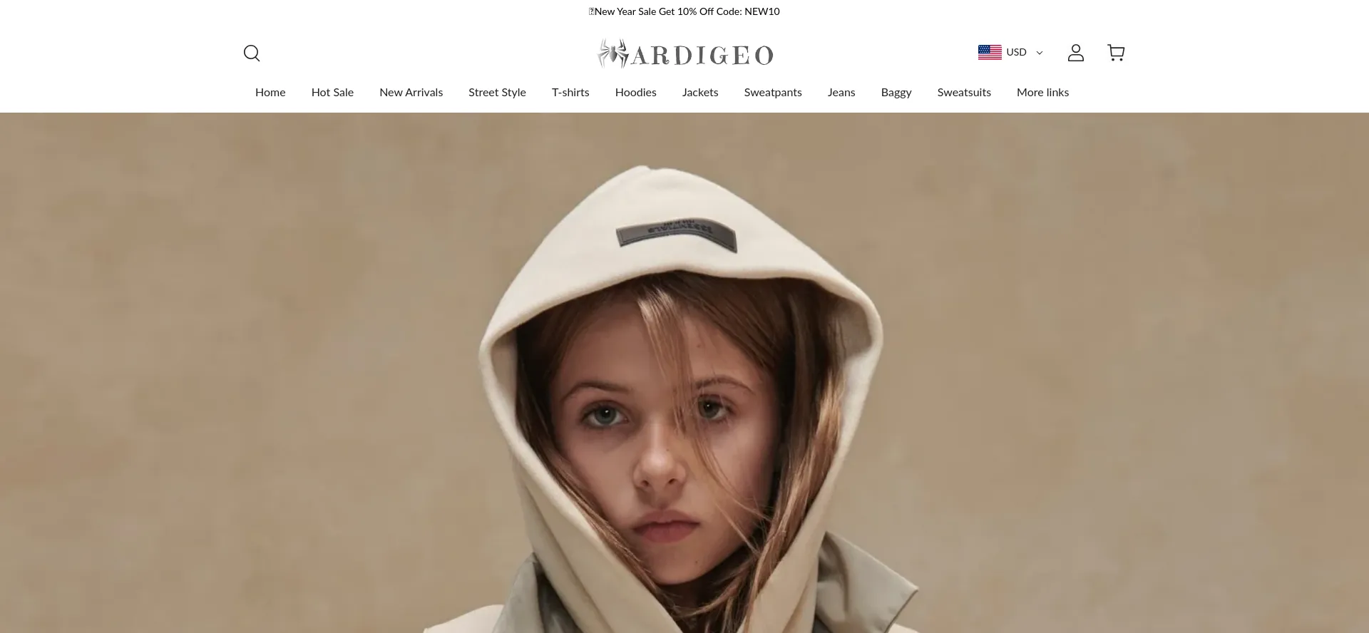 Website screenshot of Ardigeo.com