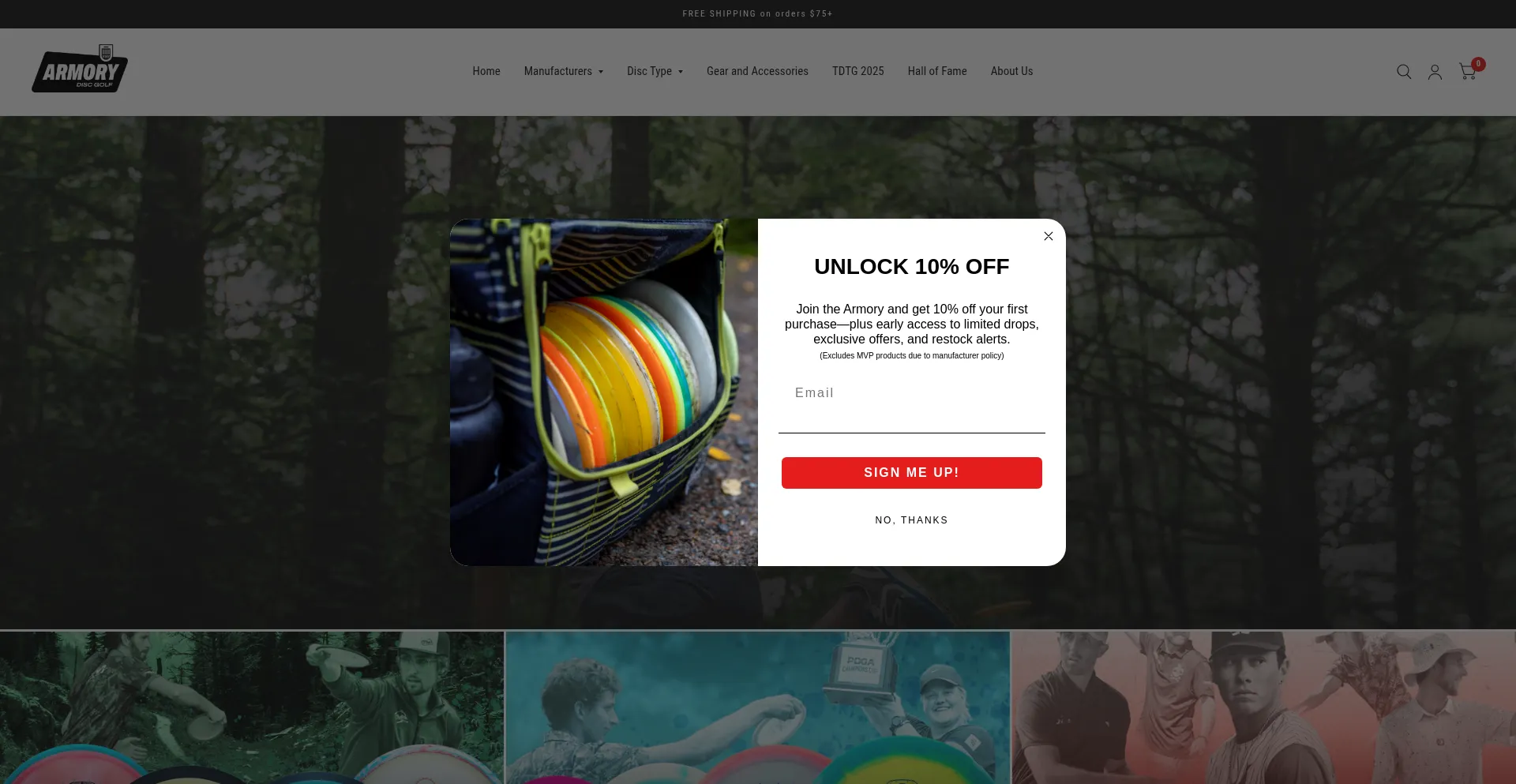 Website screenshot of Armorydiscgolf.com