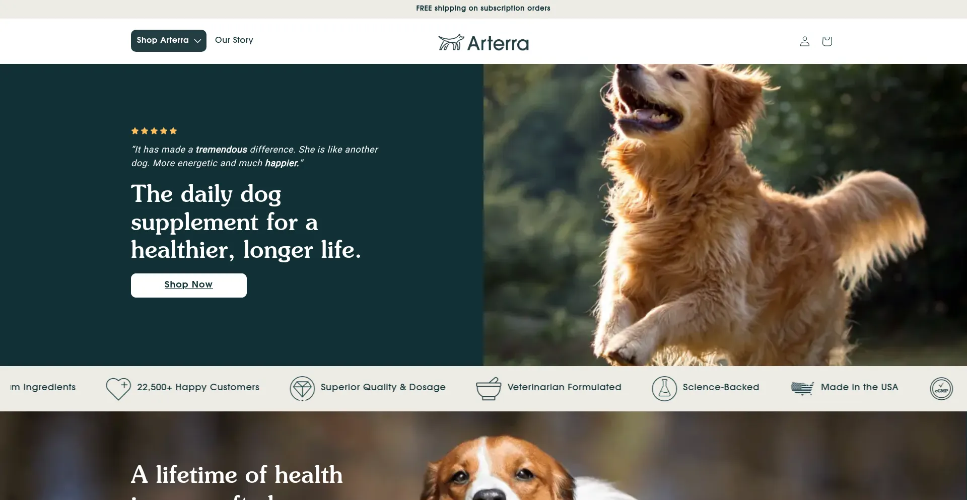 Arterrapet.com est-il Sûr et Fiable ?