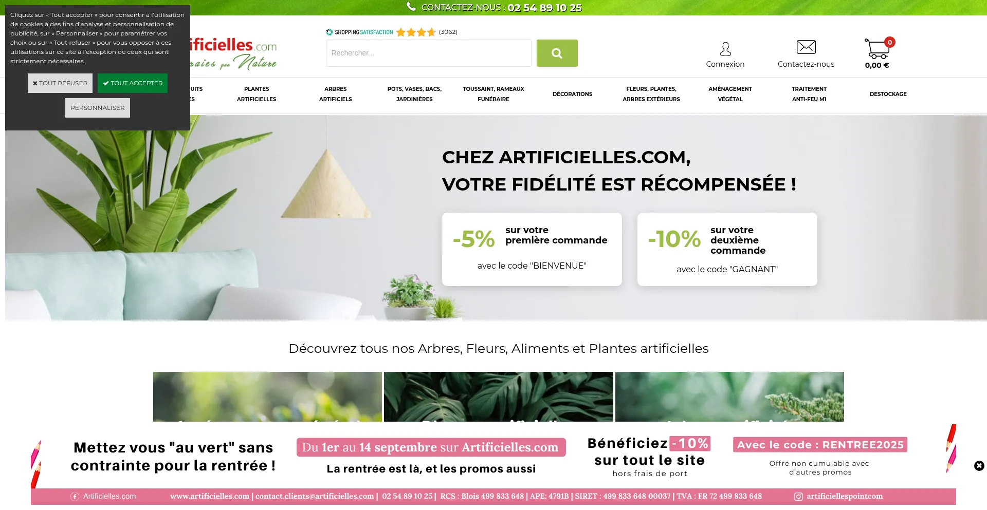 Website screenshot of Artificielles.com