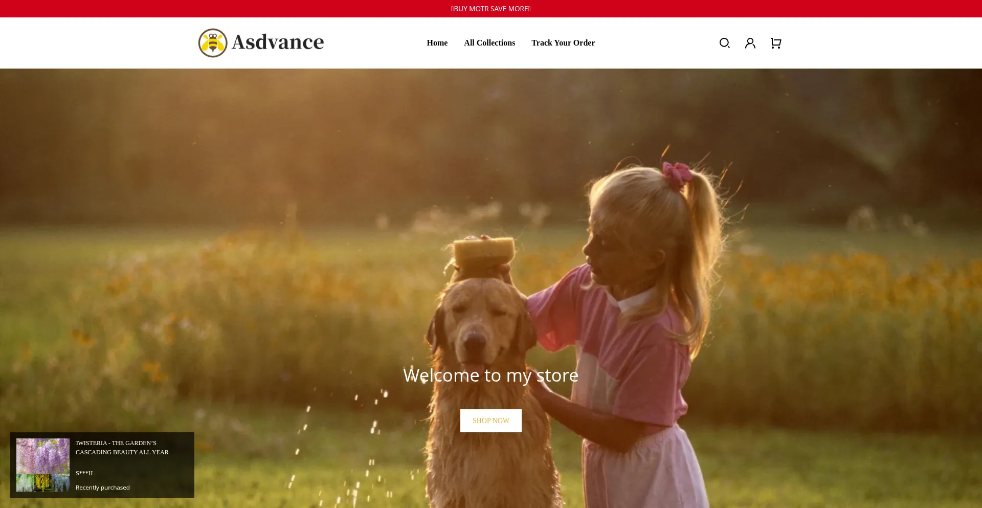 Asdvance.com est-il Sûr et Fiable ?