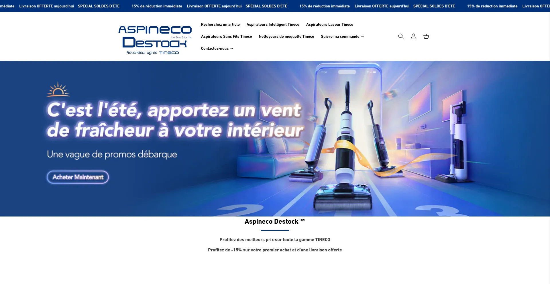 Website screenshot of Aspipro-destock.com