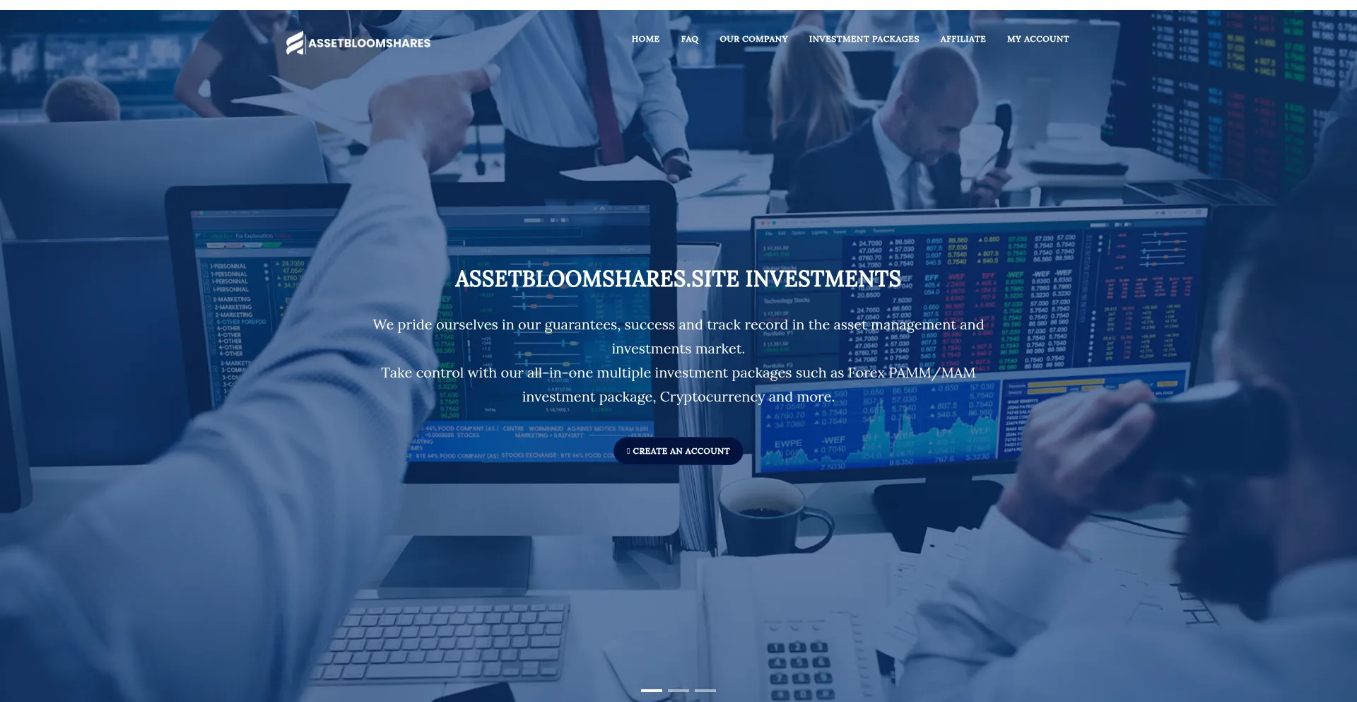 Assetbloomshares.site