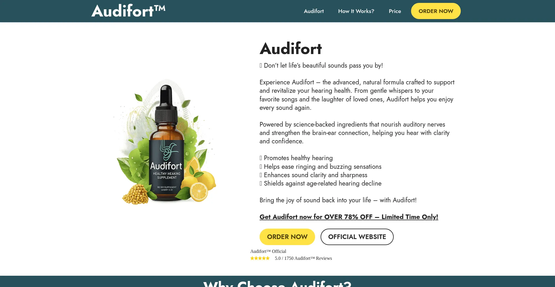 Website screenshot of Auddi-fort.com