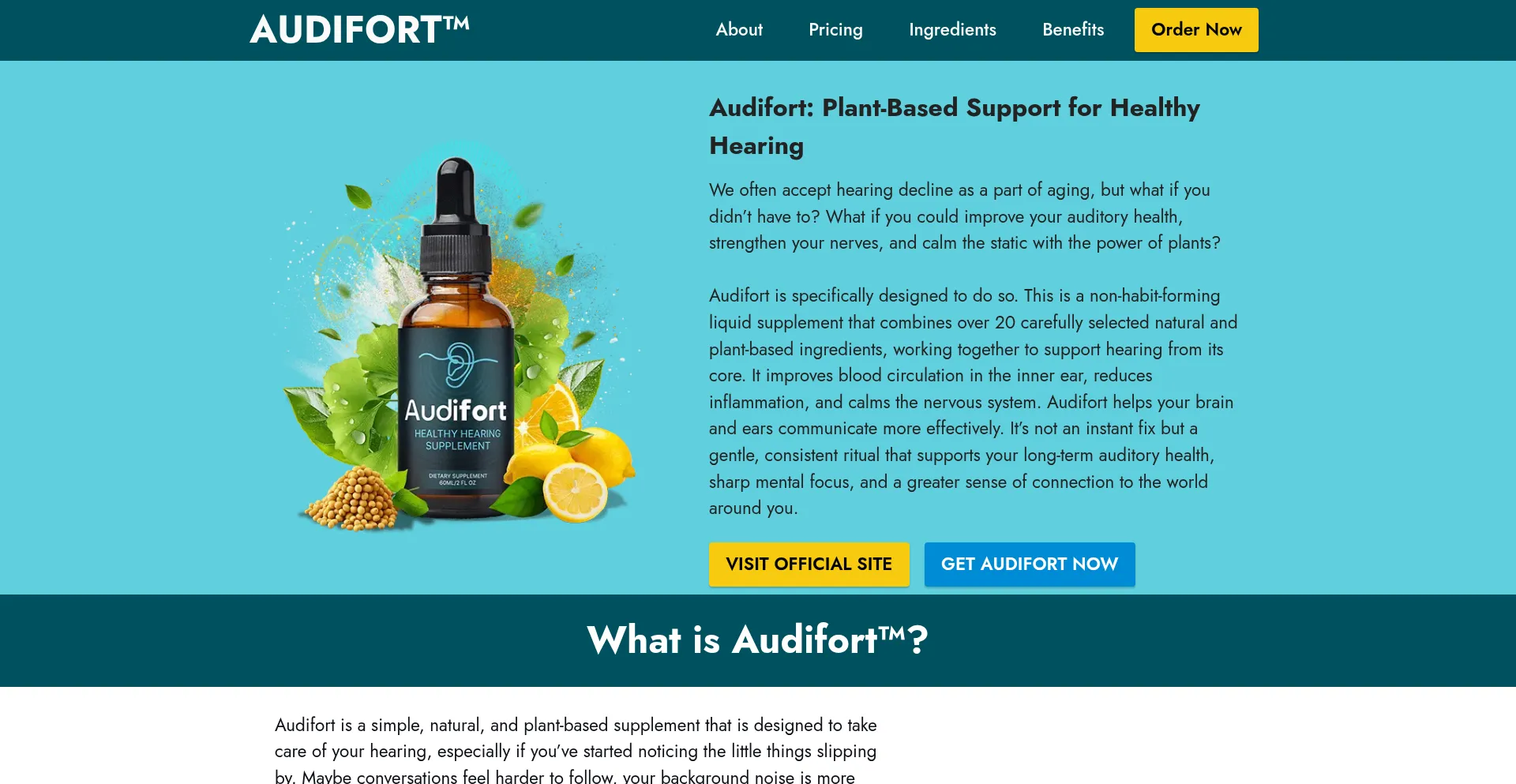 Audifortt.com est-il Sûr et Fiable ?
