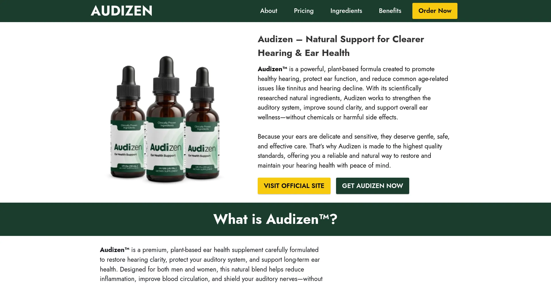 Website screenshot of Audizenus.com