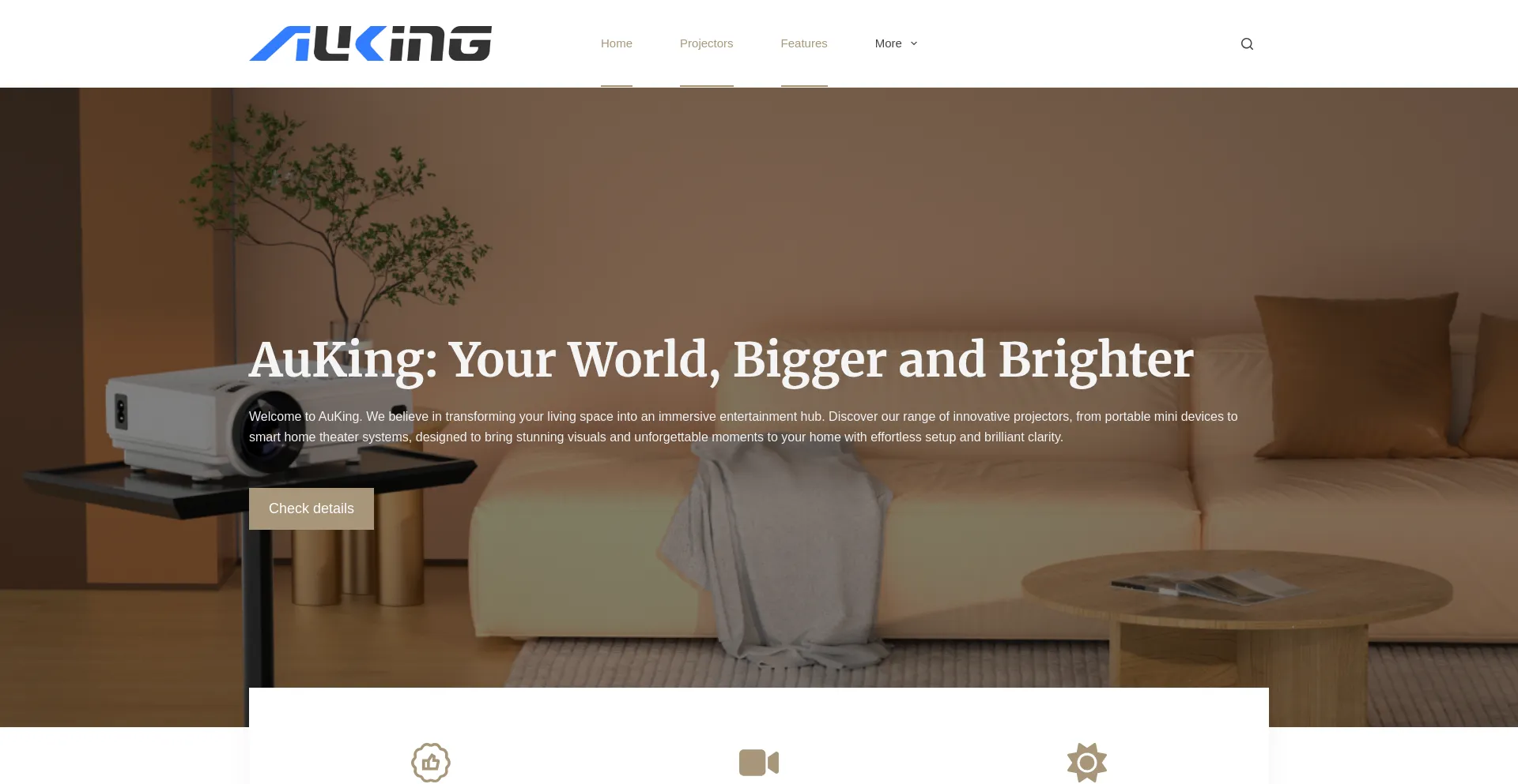 Website screenshot of Auking.org