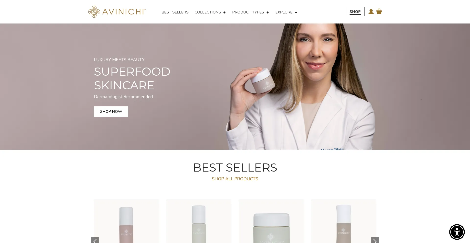 Website screenshot of Avinichi.com