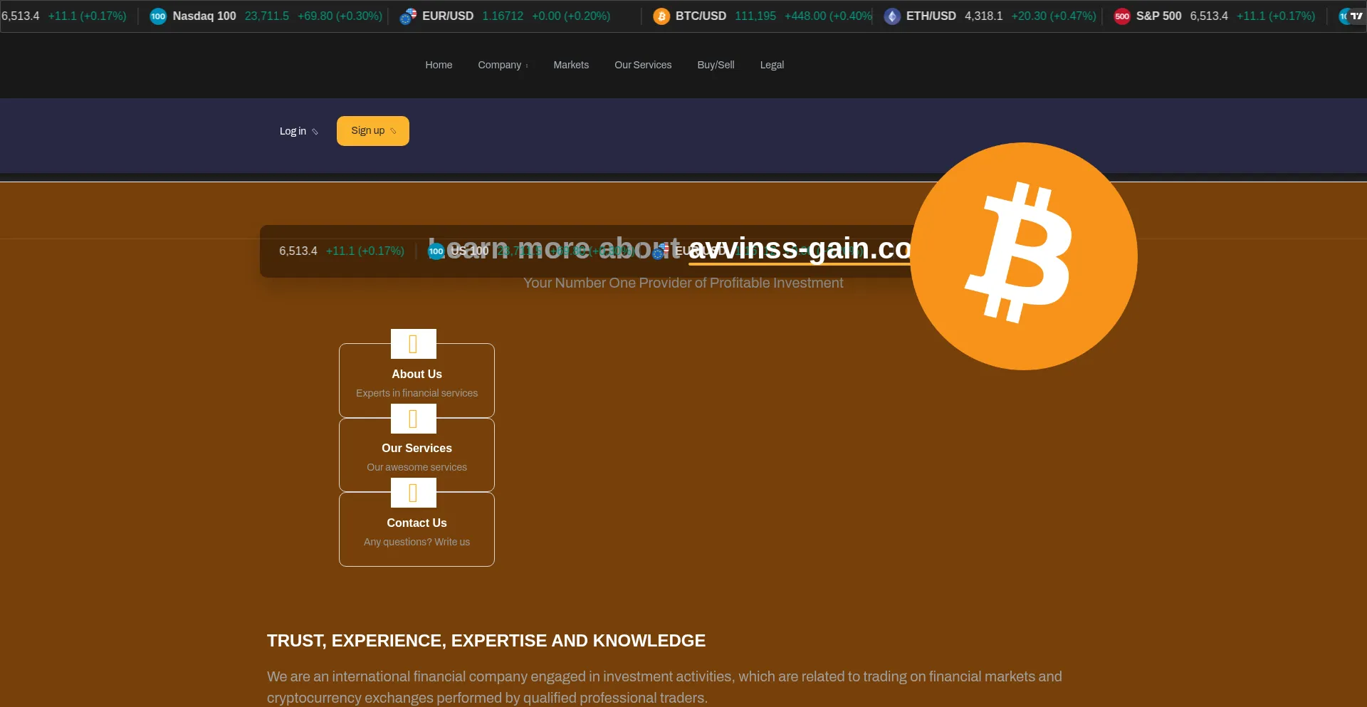 Website screenshot of Avvinss-gain.com