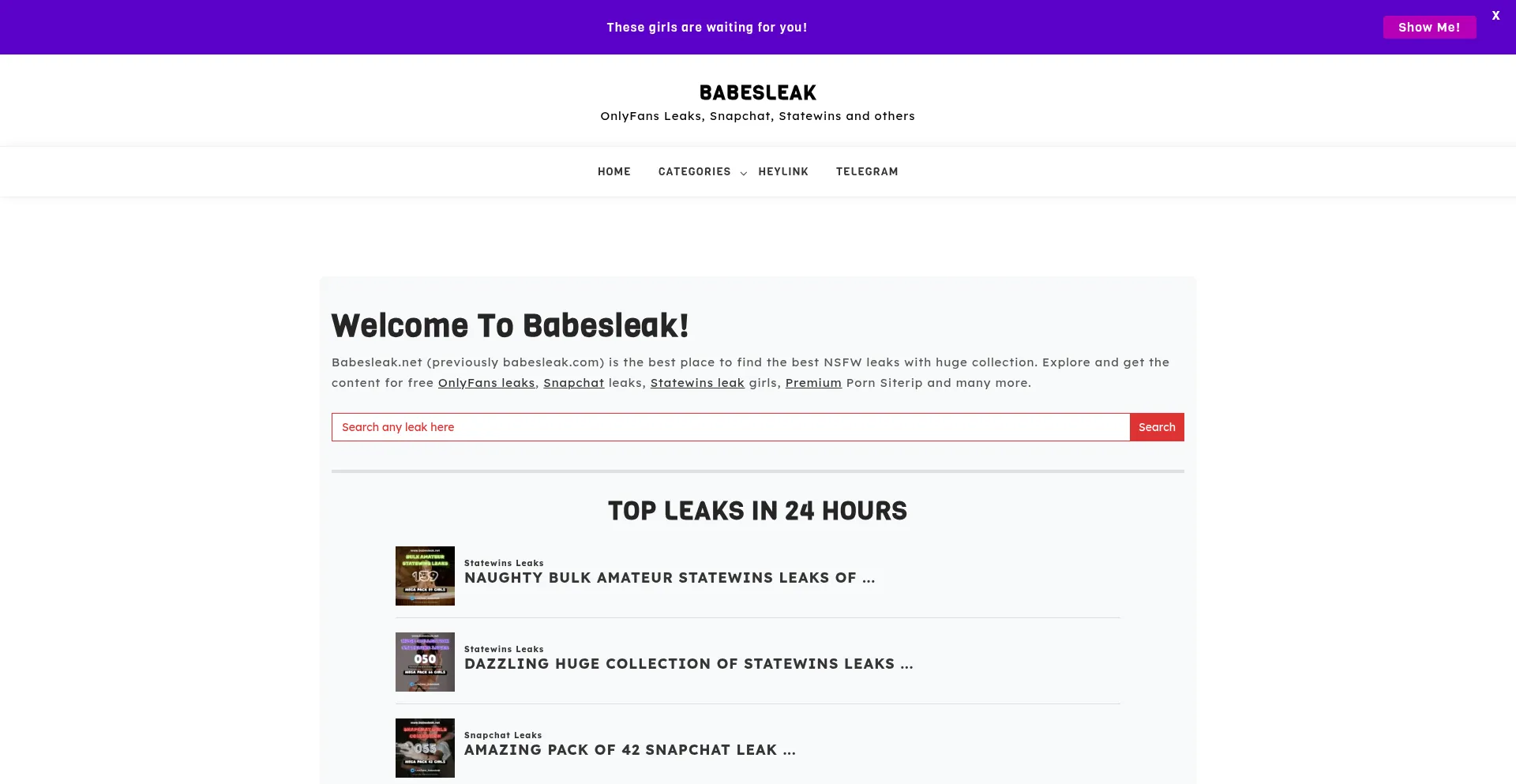 Babesleak.net est-il Sûr et Fiable ?